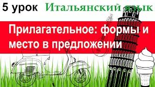 Итальянский язык. Урок 5. Прилагательное: формы и место в предложении.Согласование с существительным