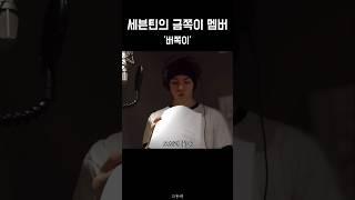 [세븐틴] 12번째 멤버의 별명은 '버쪽이'. 오히려 좋아 | 인싸셉 #seventeen