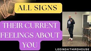 ALL SIGNS ” THEIR CURRENT FEELINGS ABOUT YOU”