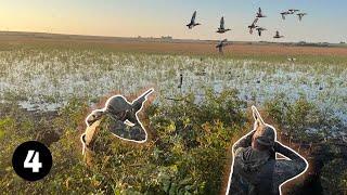 3 Man Teal Limit! Best Duck Hunting Action of the 2023 Season!