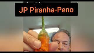 JP Piranha-Peno