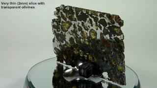 Meteorite BRAHIN pallasite transparent slice