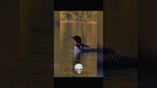 the scariest animals