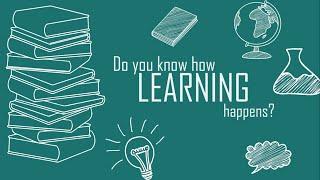 How Learning Happens?