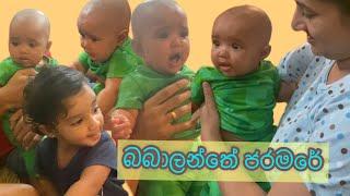 බබාලන්තේ ජරමරේ | baby land | Sheshadrie krishan krisharya