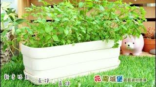 1尺(30cm)雙功能雕花小花槽(附水盤) 輕型可調式磚牆掛鉤 窗台花架 窗台花盆 種菜小學堂 立體栽培 小菜槽 蔬菜槽 種菜 種花 香草植物 新鮮廚房 #食農教育 #花園城堡園藝資材倉庫