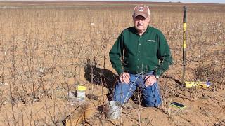 Water Infiltration  in No-Till vs. Conventional Soil