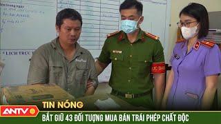 Công an TP.HCM phá 7 đường dây mua bán chất kịch độc xyanua | ANTV