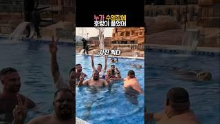수영장에 간 호랑이 #동물 #호랑이 #유머