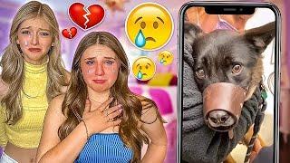 WE REACT TO TRY NOT TO CRY CHALLENGE