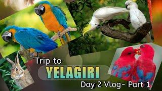 A Trip to Yelagiri | Day 2 Travel Vlog - Part 1 | Fundera Park | Mini Flicks Vlog