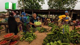 EARLY MORNING FARMERS FOOD MARKET IN NIGERIA, MARKET DAY IN RURAL NIGERIA  Cost of living Nigeria