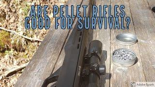 Are Pellet Rifles for Survival a Good Idea?