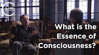 Colin McGinn - What's the Essence of Consciousness?