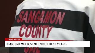 Springfield gang member sentenced