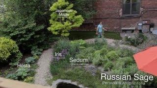 3 neighbors create huge hidden urban garden - Urban Gardener video