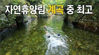 여름은 역시 계곡이지! 미천골자연휴양림에서 하룻밤 캠핑