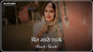 Dil Mharo Dhadke (Slowed + Reverb) | Rajasthani Lofi Song | Rajasthani Song | Marwadi Song