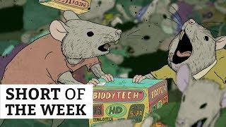 Happiness | Short of the Week #049