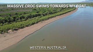 Massive Saltwater Crocodile swims towards my boat | North Australia 