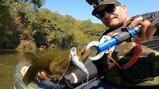 TRAIRA DO RIO PARDO (Hoplias intermedius)..pescaria #vídeodepescaria #trairãonarartificial..