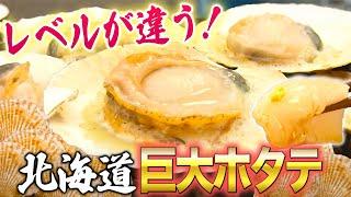 【北海道グルメ】天然ホタテが旨すぎる！スーパーで生きたホタテが買える！？【2021年8月19日 放送】