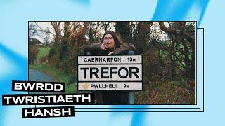 BWRDD TWRISTIAETH HANSH - TREFOR