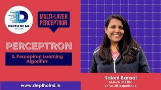 Multi-Layer Perceptrons| Part2 | Perceptron & Perceptron Learning Algorithm | Saloni (MTech IISc)