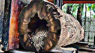 Surprising discovery of old teak logs full of beautiful grain at sawmill