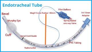 ET Tube | Endotracheal Tube Parts | Invasive Ventilation | Diagnotherapy