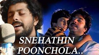 ethamruthum tholkkum | Snehathin Poonchola cover | Malayalam Cover songs | Patrick Michael