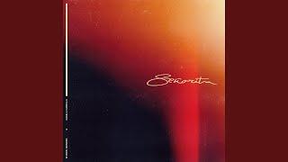 Shawn Mendes, Camila Cabello - Señorita (Audio)