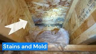 Master #bathroom has loose #tiles #leakage and #mold in 8 yr old#home#house#plumbing#shower