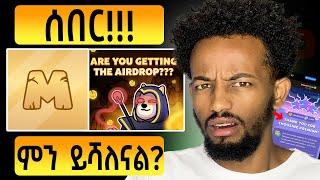 MemeFi ካልከፈላችሁ 0 ነው የሚባለው እውነት ነው? | MemeFi UPDATE