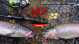 Pink, rosaroter Tag/ Start in die Herbstsaison/ Forellen fischen mit Kunstködern/ Trout Area