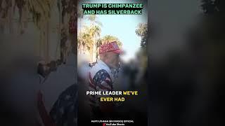 Trump is chimpanzee and has  silverback | Uthman Ibn Farooq Official