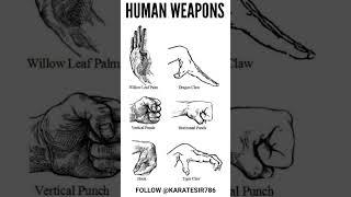 KARATE HUMAN WEAPONS #karatesir #martialarts #humanweapons