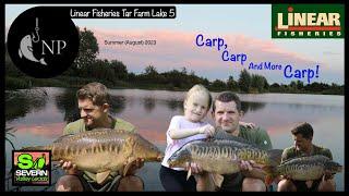 Linear Fisheries || Tar Farm Lake 5 || 48 Hours of Non-stop Day Ticket Carp Action