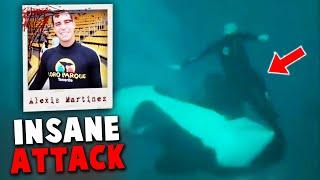 The HORRIFYING Orca Attack on Alexis Martinez | The Untold Truth of SeaWorld's