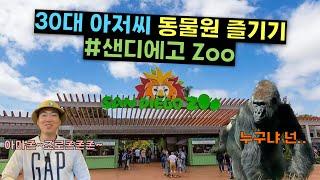 [여행 ep.14] 샌디에고 여행 브이로그, 샌디에고 동물원 San Diego Zoo, 고릴라는 사람을 찢어 ㅎㄷㄷ, 30대도 환장한 동물구경 ㅋㅋ 이게 은근 재밌네~