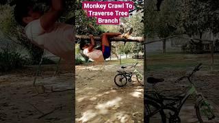 #youtubeshorts #traversing #tree #branch #by #monkey #crawling #workout #to #boost #hand #power