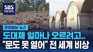 도대체 얼마나 오르려고…"문도 못 열어" 초콜릿 비상 / SBS / 모아보는 뉴스