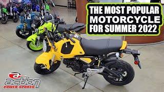 Most POPULAR Motorcycles for summer 2022 | Action Power Sports