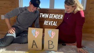 TWIN GENDER REVEAL!