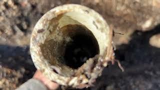 Unclogging a Gray Water Sewer Pipe