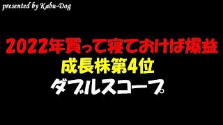 【ダブルスコープ】2022年買って寝ておけば株価上昇する銘柄第4位