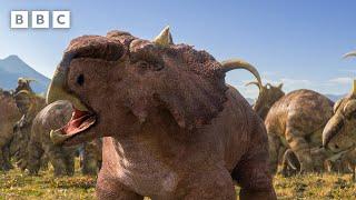Brutal Pachyrhinosaurus Battle | Walking With Dinosaurs - BBC