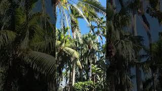 Sunken gardens enterence in st Pete, Florida.