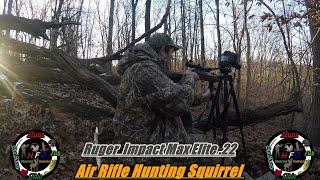 Squirrel Hunting With Air Rifle Ep 3   Late Season Hunt   2021