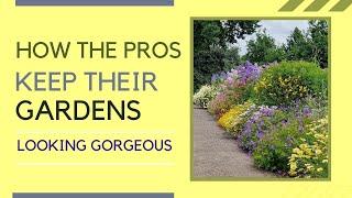 How To Save Your Garden From Stressful Weather: Gardening Tips from Borde Hill Gardens